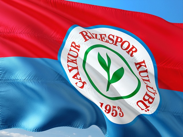 这一亮眼数 这一亮眼数