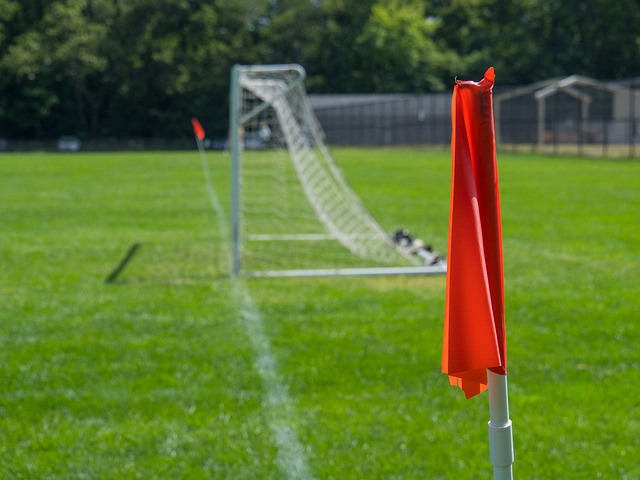 场观众的经 场观众的经