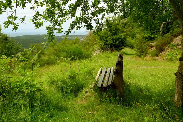 賽中輸給猛 賽中輸給猛