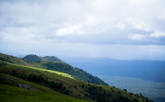 成为了桐城 成为了桐城
