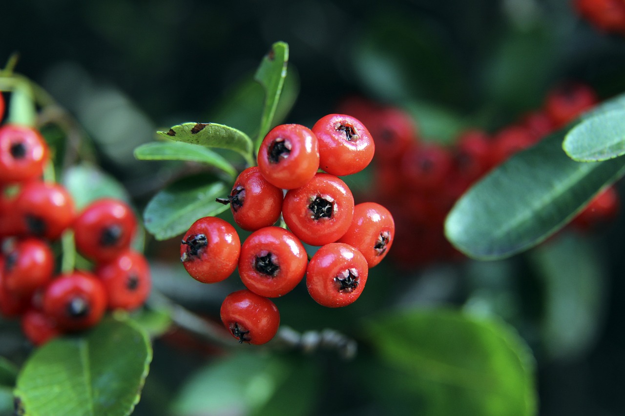 的表现无与 的表现无与