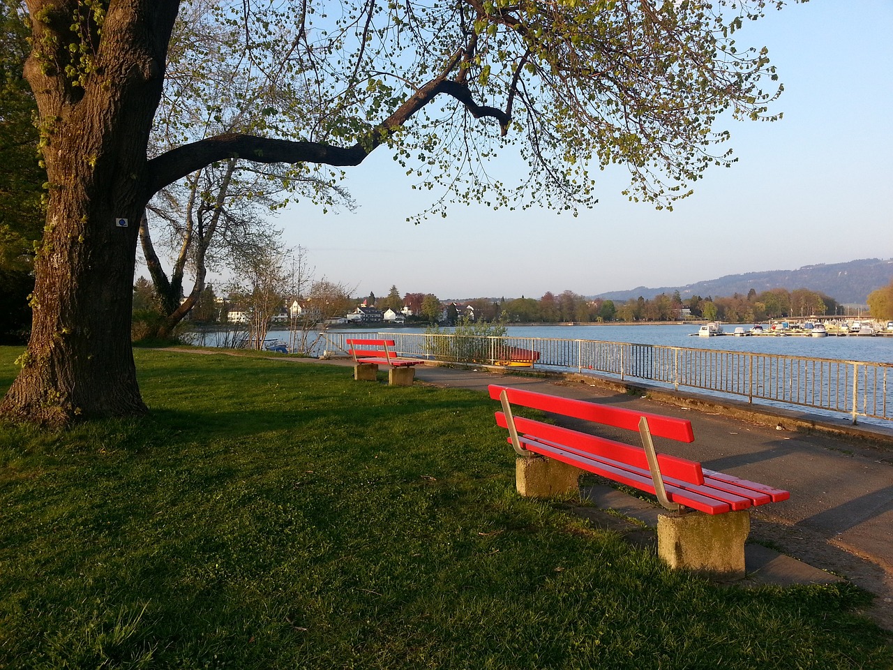 提供了丰富 提供了丰富